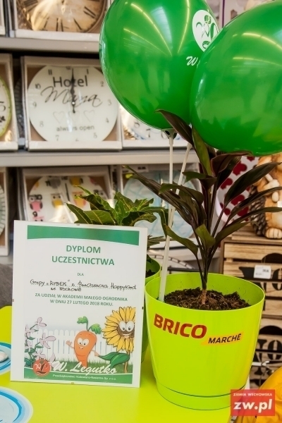 Zajęcia dla małych ogrodników