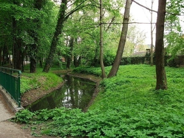 W Sławie szukają środków na rewitalizację parku
