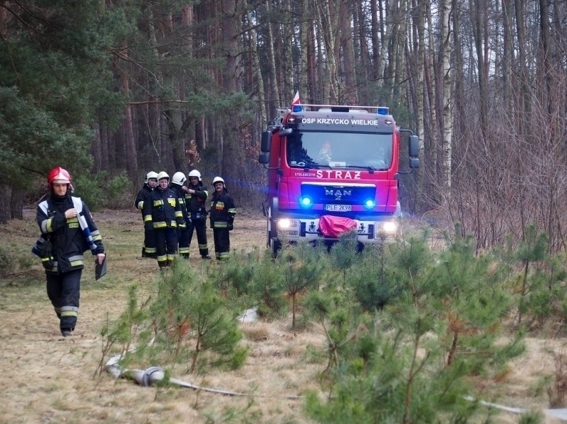 OSP z Włoszakowic i okolic wspólnie na ćwiczeniach