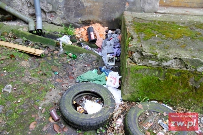 Niepodległości 29