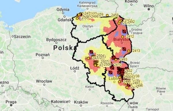 Powiatowy Lekarz weterynarii informuje o przestrzeganiu określonych zasad w związku z ASF
