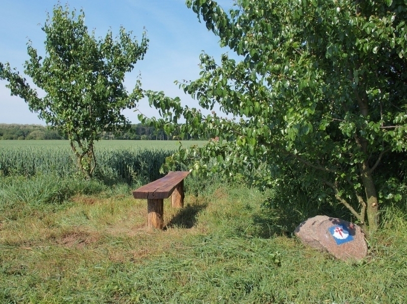 Pielgrzymi na wschowskiej Drodze św. Jakuba