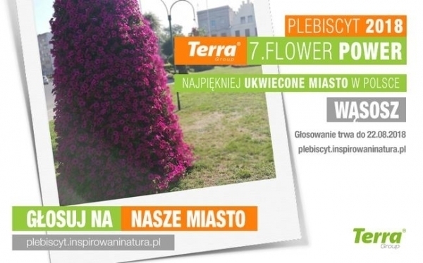 Wąsosz w plebiscycie na najpiękniej ukwiecone miasto
