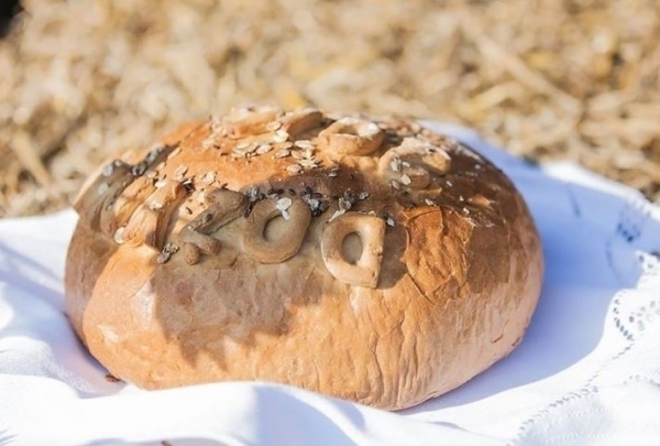 Dożynki gminne w Wyszanowie