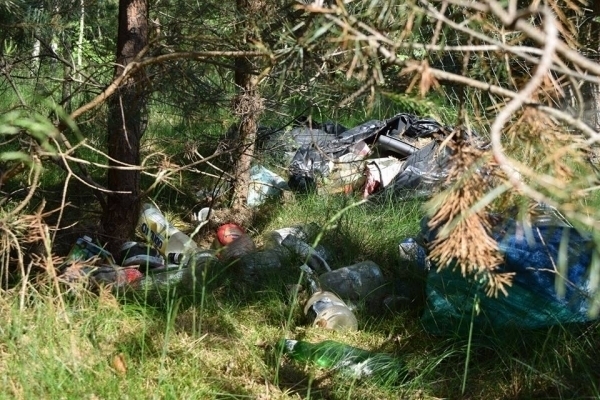 Śmieci w lesie. Nadleśnictwo Góra Śląska przypomina co zrobić z odpadami
