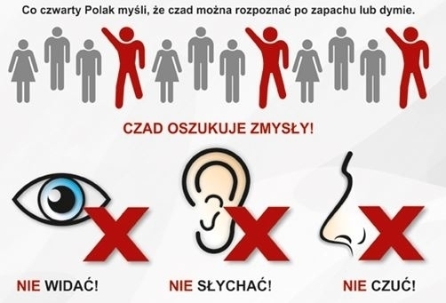 Czujka na straży Twojego bezpieczeństwa