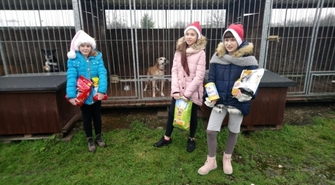 Wzruszająca wizyta w przytulisku dla zwierząt.