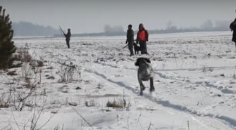 Radny pyta o koła łowieckie. Czy informują gminę o planowanych polowaniach