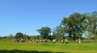 Cykl spacerów na terenie wielkopolskich parków krajobrazowych