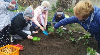 Przedszkolaki zadbają o swój własny ogródek