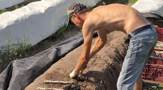 Dni otwarte gospodarstw producentów szparagów już w najbliższy weekend