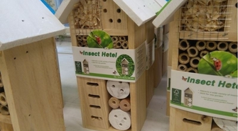 Hotel dla owadów w mieście?