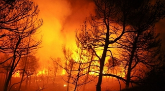 Wolsztyńscy strażacy niosą pomoc Szwedom 