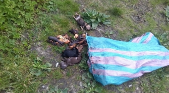 Makabryczne znalezisko w Wijewie