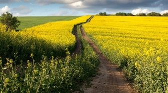 „Powrót do przeszłości” w regionalnym wydaniu
