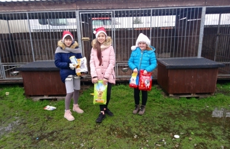 Wzruszająca wizyta w przytulisku dla zwierząt.