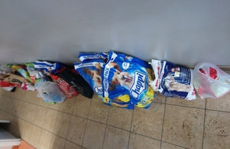 Wzruszająca wizyta w przytulisku dla zwierząt.