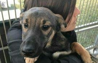 Mała Alga poleca się do adopcji