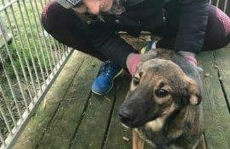 Mała Alga poleca się do adopcji