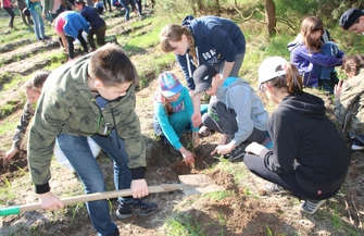 Harcerze wzięli udział w akcji sadzenia lasu