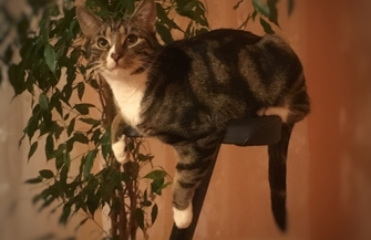 Zaginął a teraz szczęśliwie się odnalazł