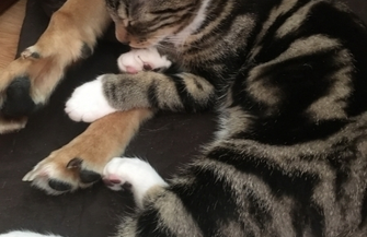 Zaginął a teraz szczęśliwie się odnalazł