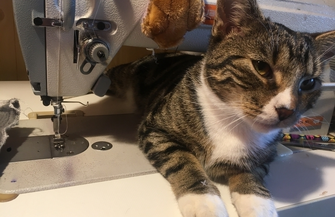 Zaginął a teraz szczęśliwie się odnalazł