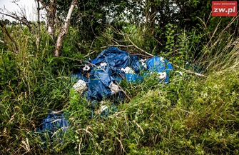 Ktoś wyrzucił płyty azbestowe