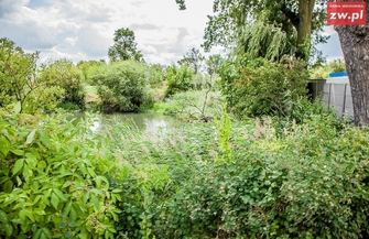 Ile razy radny może dopytywać się o inwestycję i gdzie podziało się 30 tysięcy złotych