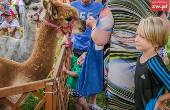 Finał tygodniowych zajęć