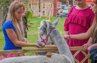 Finał tygodniowych zajęć