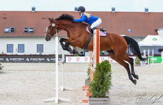 Złoty medal Weroniki Kosińskiej z SKJ Tradycja Siedlnica
