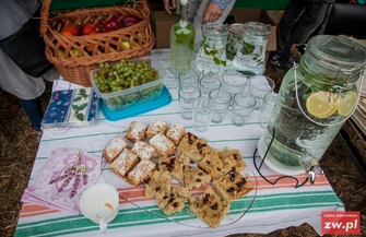 Z miłości do Wyszanowa czyli piknik z Czas A.R.T. przy ujściu Baryczy