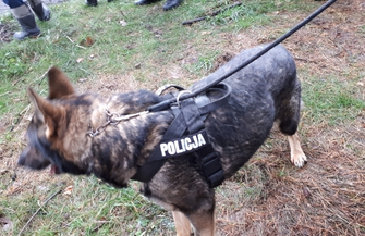 Tragiczny finał poszukiwań