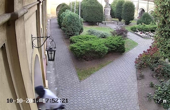 Policja poszukuje mężczyzny