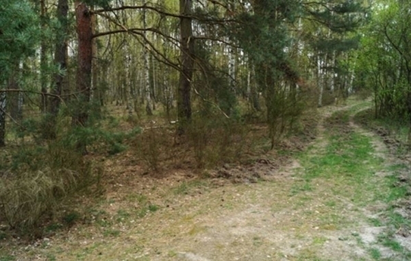 Informacja o ogłoszeniu przetargu ustnego na dzierżawę nieruchomości w obrębie Kuźnicy Głogowskiej