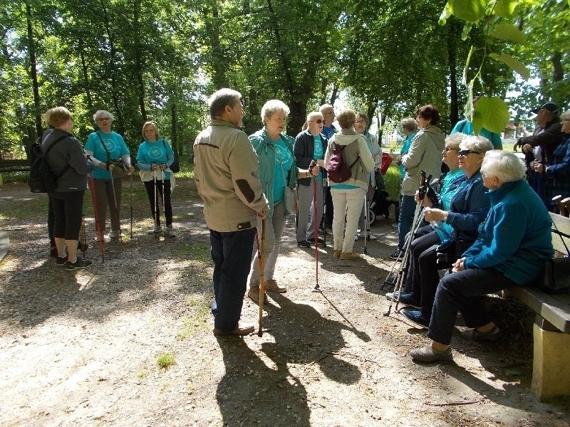 Nordic Walking Studentów UTW 2019