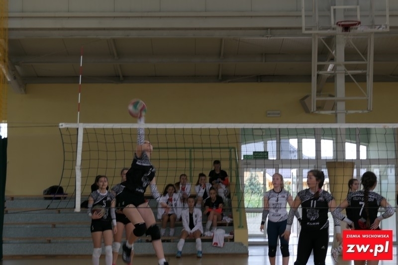 XV Virtus Volley Cup