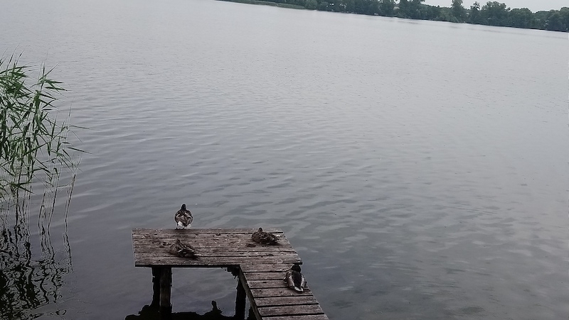 Wyjazdowe warsztaty muzyczne orkiestry