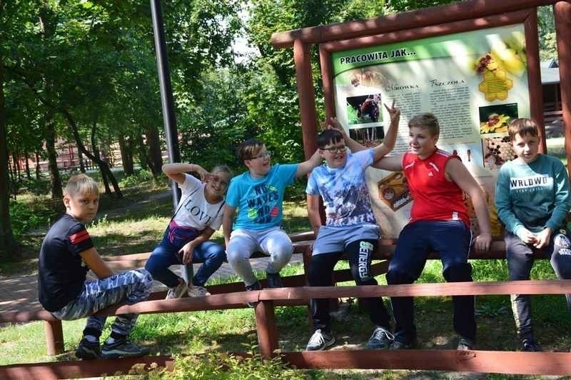 Zabawy dzieci w parku linowym