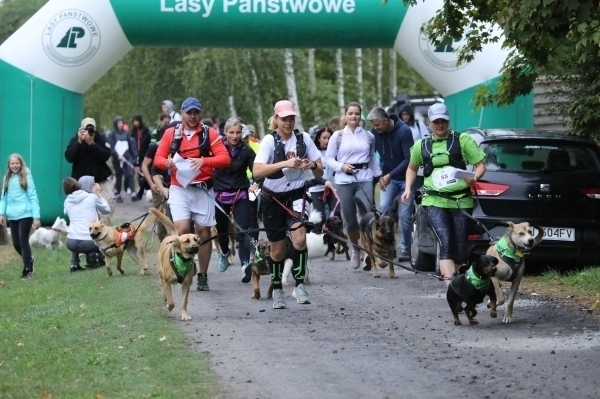 LeśnyDogtrekkingw Sławie