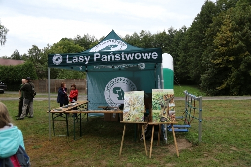 LeśnyDogtrekkingw Sławie