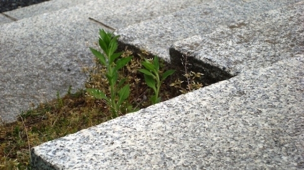 Zalety i wady schodów granitowych