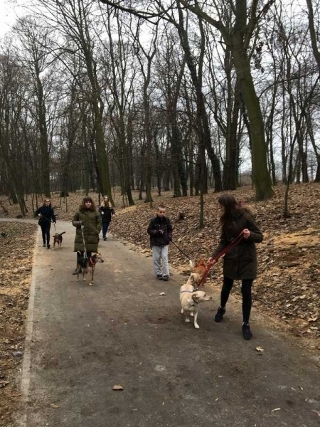 Podaj łapę