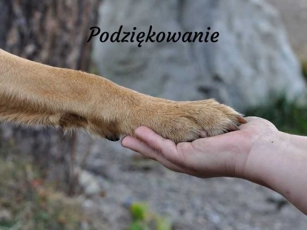 Podziękowanie