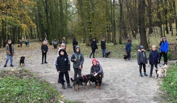 Wolontariat w schronisku