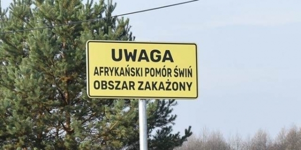 Zakaz wstępu do lasu