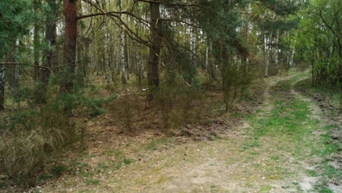 Informacja o ogłoszeniu przetargu ustnego na dzierżawę nieruchomości w obrębie Kuźnicy Głogowskiej