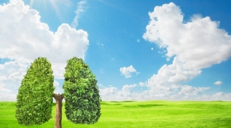 Czy w Wąsoszu będzie czystsze powietrze?