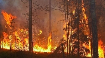 Zagrożenie pożarowe – co zrobić gdy zapali się las?